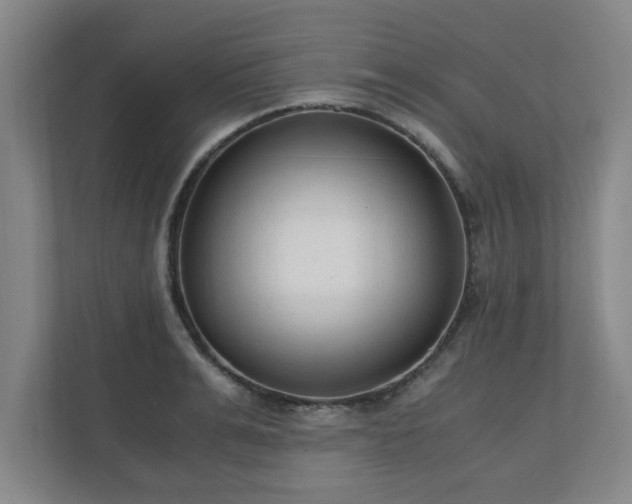 X0000110670991200906191341