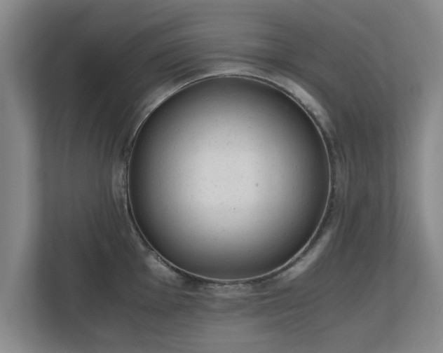 X0000110671001200906191341