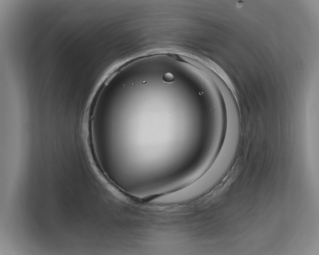 X0000110671005200906191341