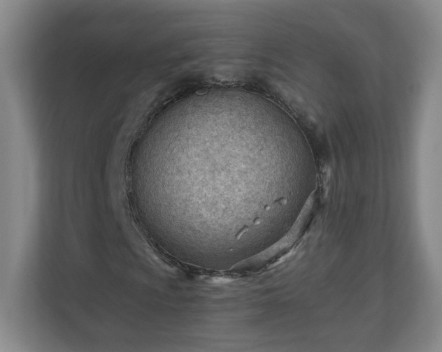 X0000110671009200906191341