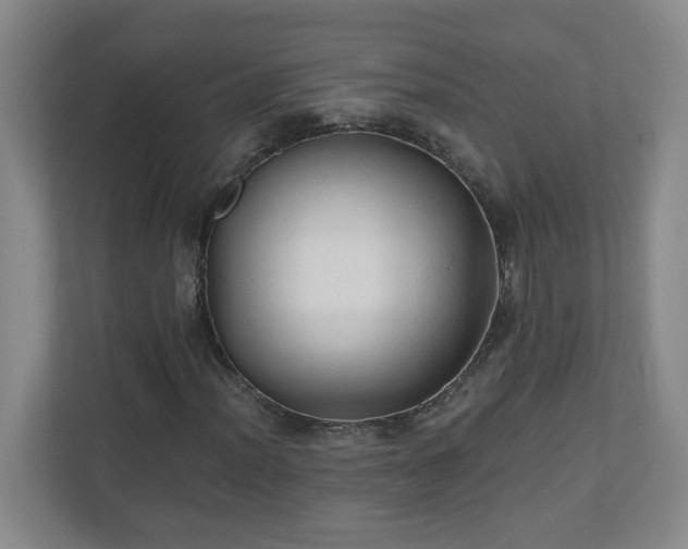 X0000110671012200906191341