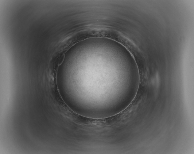 X0000110671013200906191341