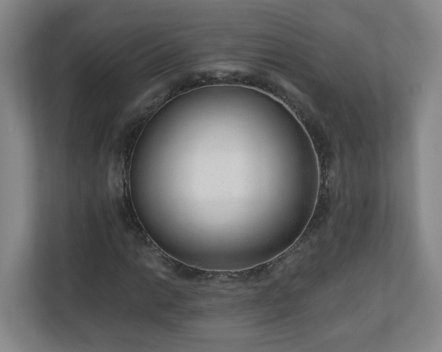 X0000110671014200906191341