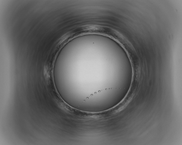 X0000110671017200906191341