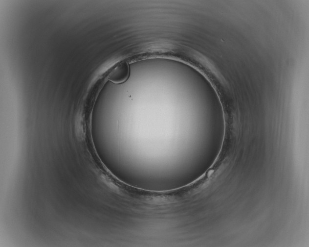 X0000110671018200906191341