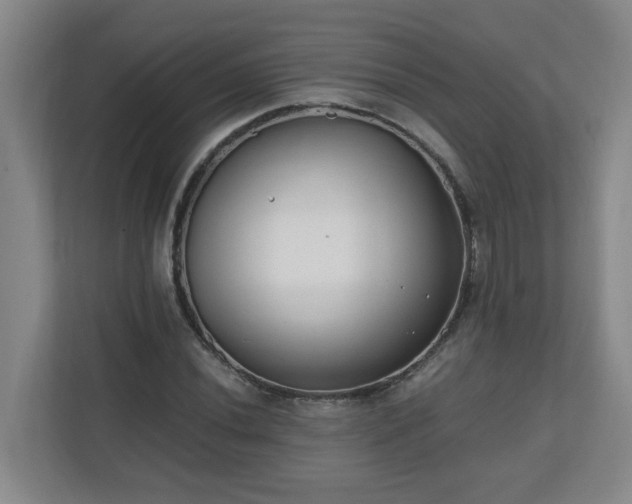 X0000110671020200906191341