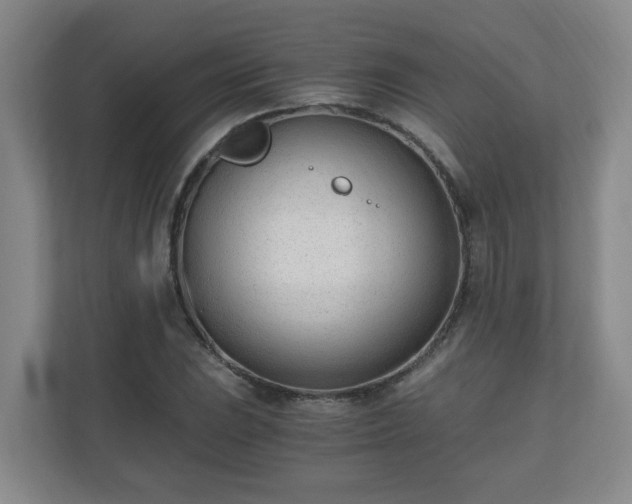 X0000110671023200906191341