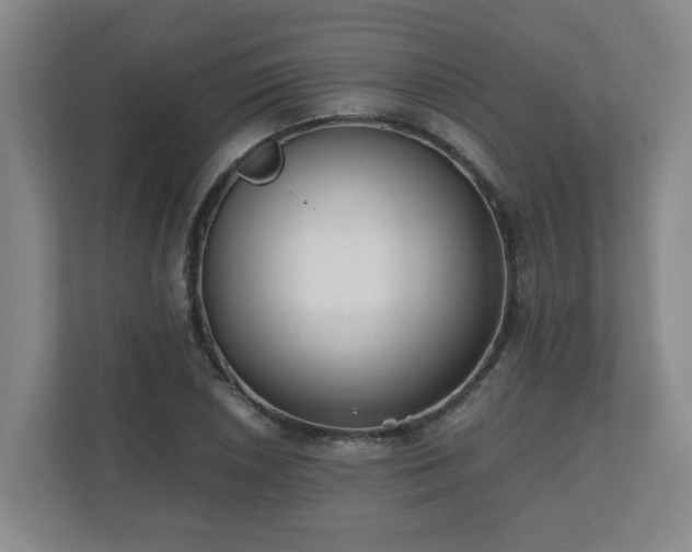 X0000110671026200906191341