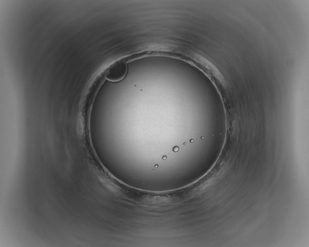 X0000110671027200906191341