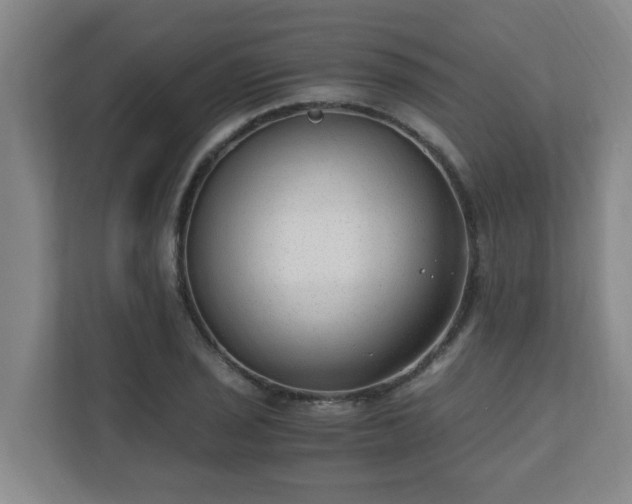 X0000110671029200906191341