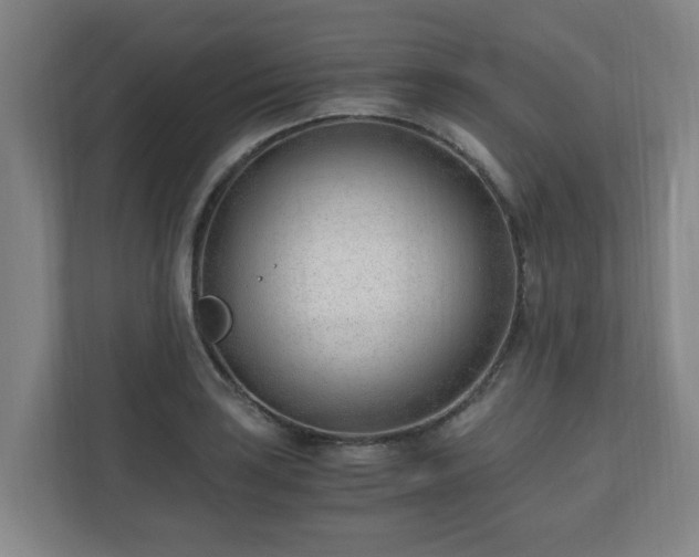 X0000110671035200906191341