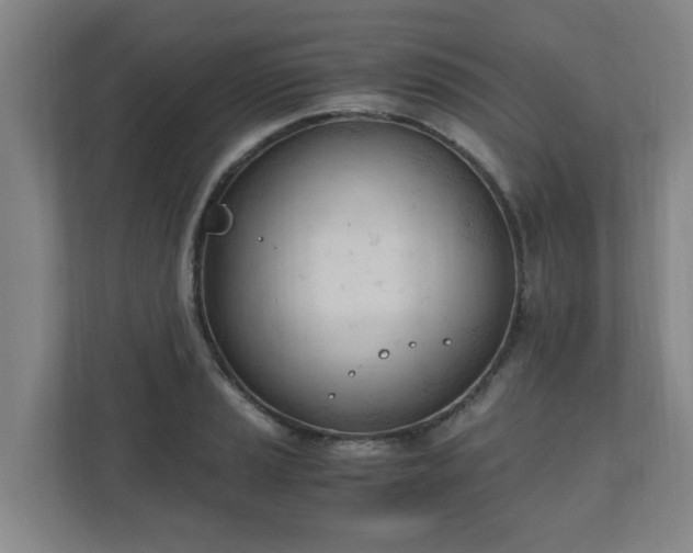 X0000110671037200906191341