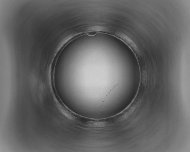 X0000110671039200906191341