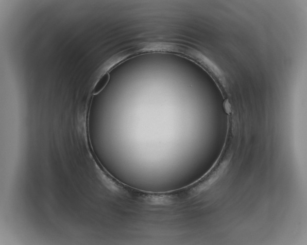X0000110671041200906191341