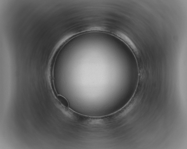 X0000110671043200906191341