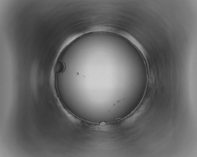 X0000110671053200906191341