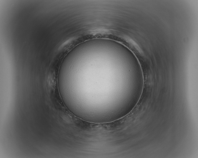 X0000110671063200906191340