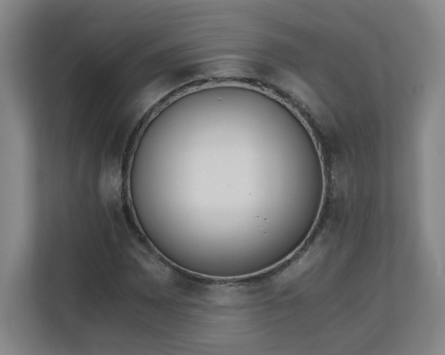 X0000110671065200906191340