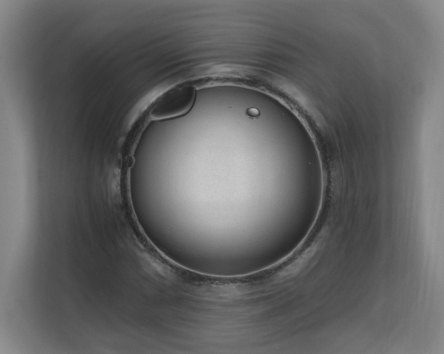 X0000110671066200906191340
