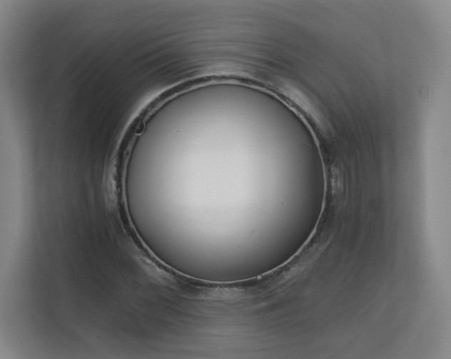 X0000110671068200906191340