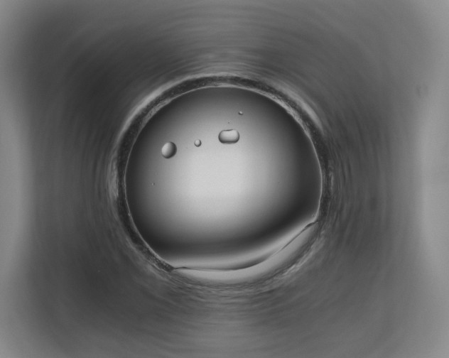 X0000110671069200906191340