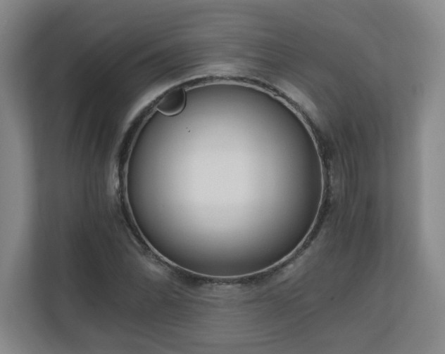 X0000110671070200906191340
