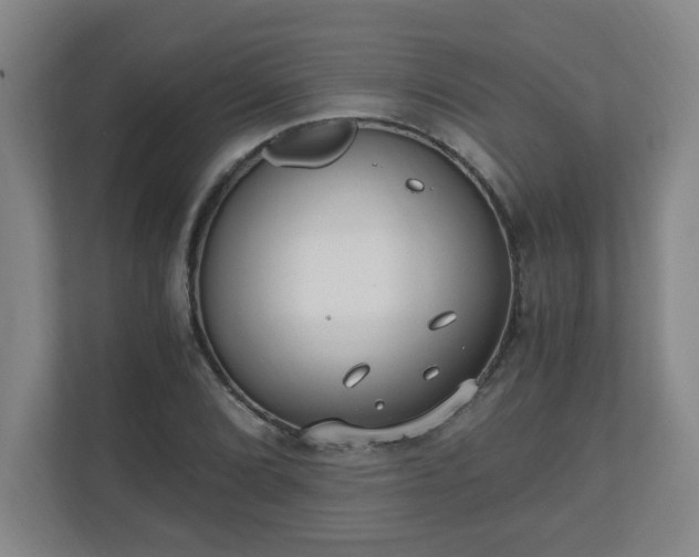 X0000110671072200906191340