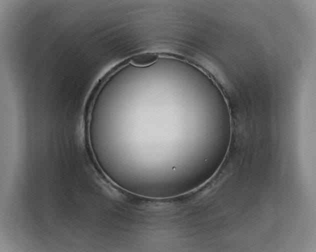X0000110671076200906191340