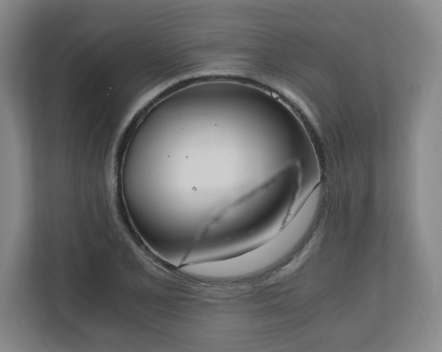 X0000110671077200906191340