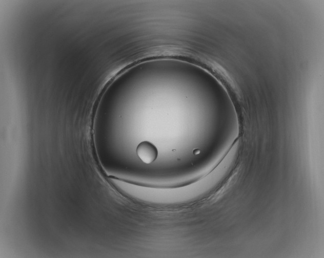 X0000110671081200906191340