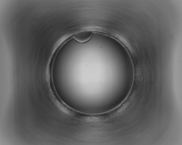 X0000110671082200906191340