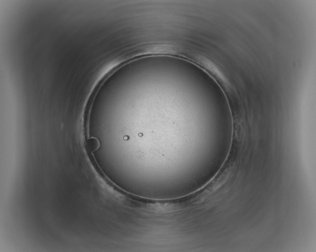 X0000110671087200906191340