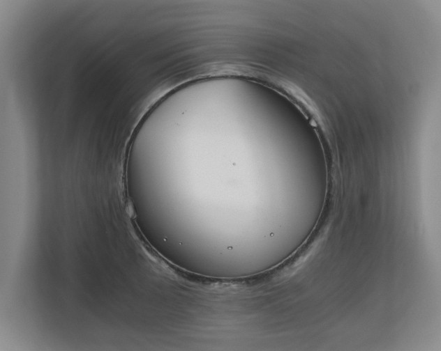 X0000110671089200906191340