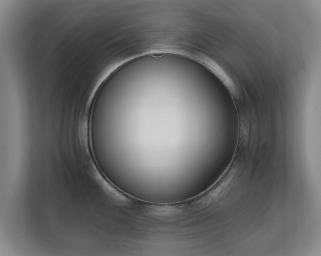 X0000110671100200906191340