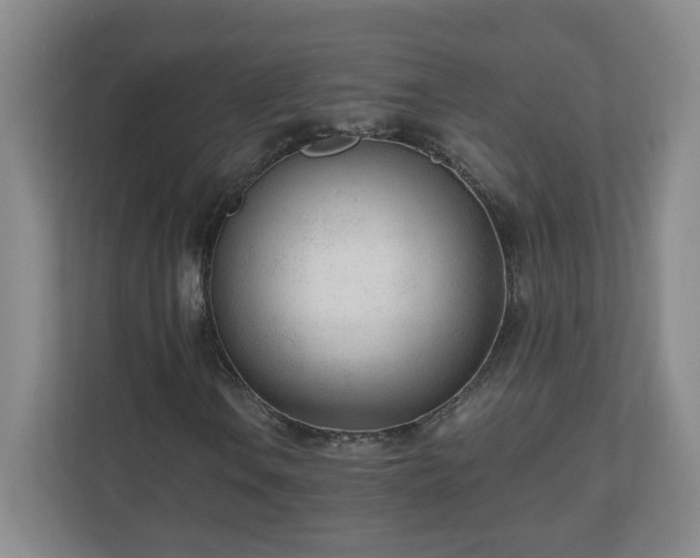 X0000110671106200906191339