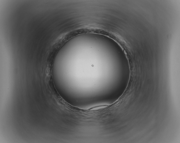 X0000110671110200906191339