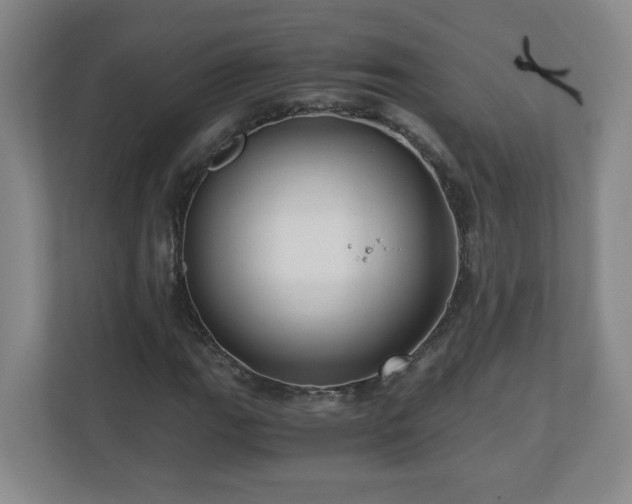X0000110671111200906191339