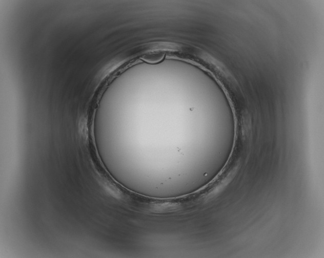 X0000110671113200906191339