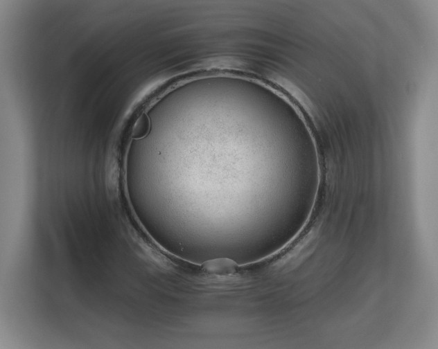 X0000110671115200906191339