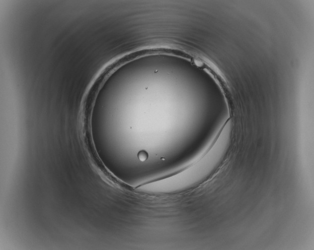 X0000110671116200906191339