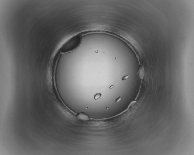 X0000110671120200906191339