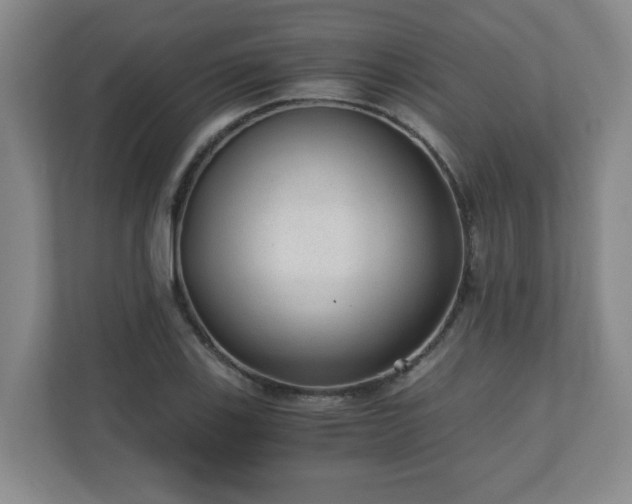 X0000110671123200906191339