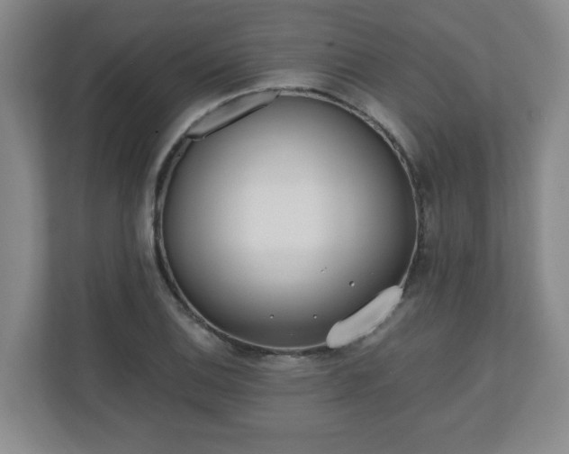 X0000110671124200906191339