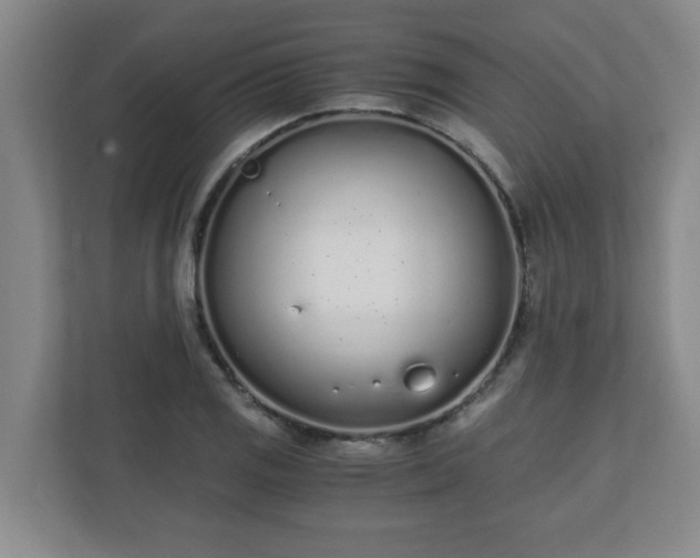 X0000110671125200906191340