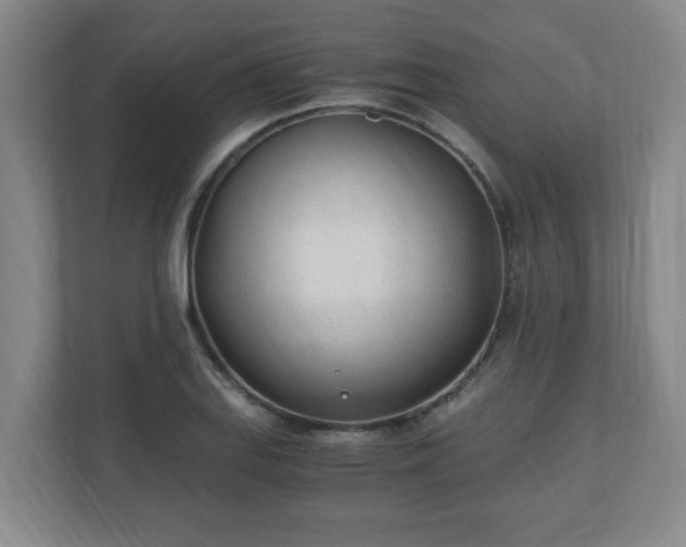 X0000110671127200906191340