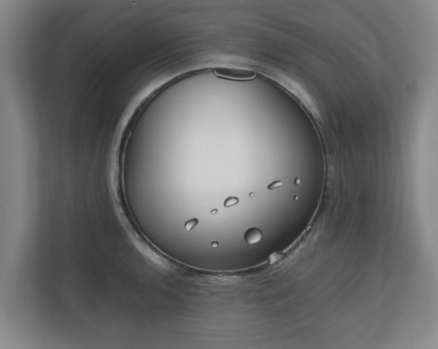 X0000110671136200906191340