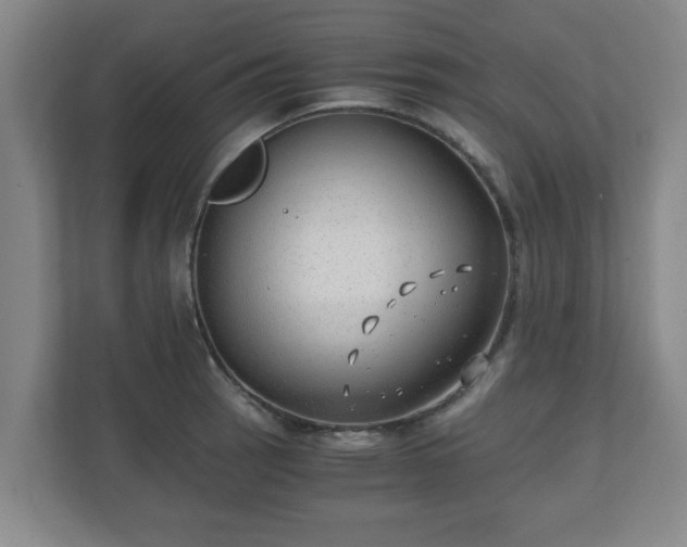 X0000110671137200906191340
