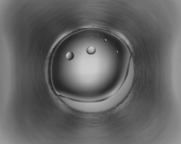 X0000110671138200906191340