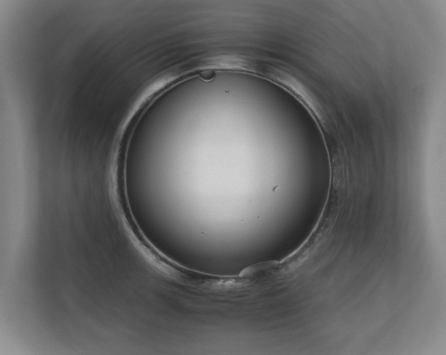 X0000110671139200906191340