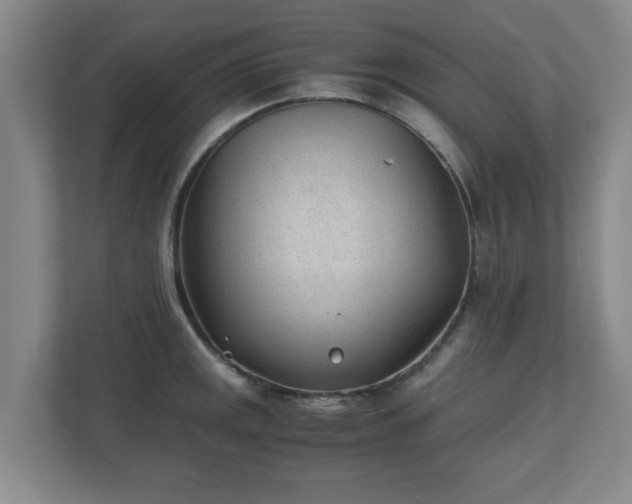 X0000110671141200906191340